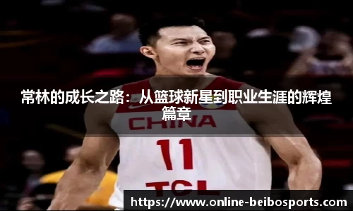贝博bb体育