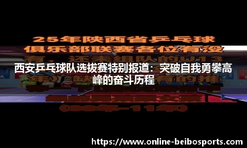 贝博体育官网